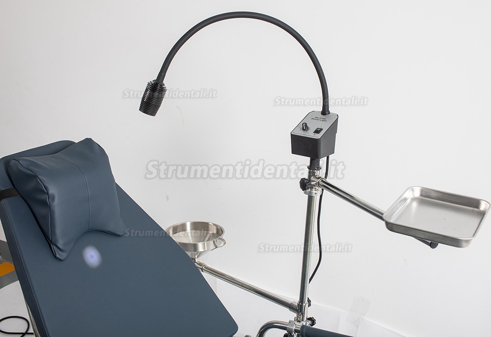 Greeloy GU-P101 Poltrona odontoiatrica portatile pieghevole con vassoio per strumenti e zaino